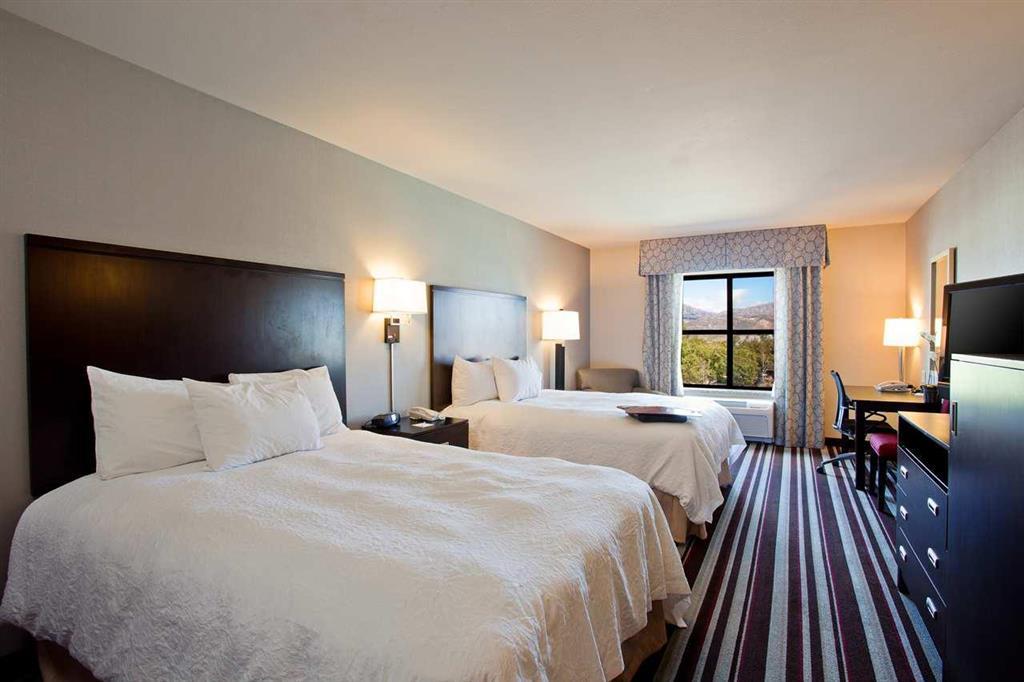 圣地亚哥波威希尔顿恒庭旅馆&套房酒店 客房 照片